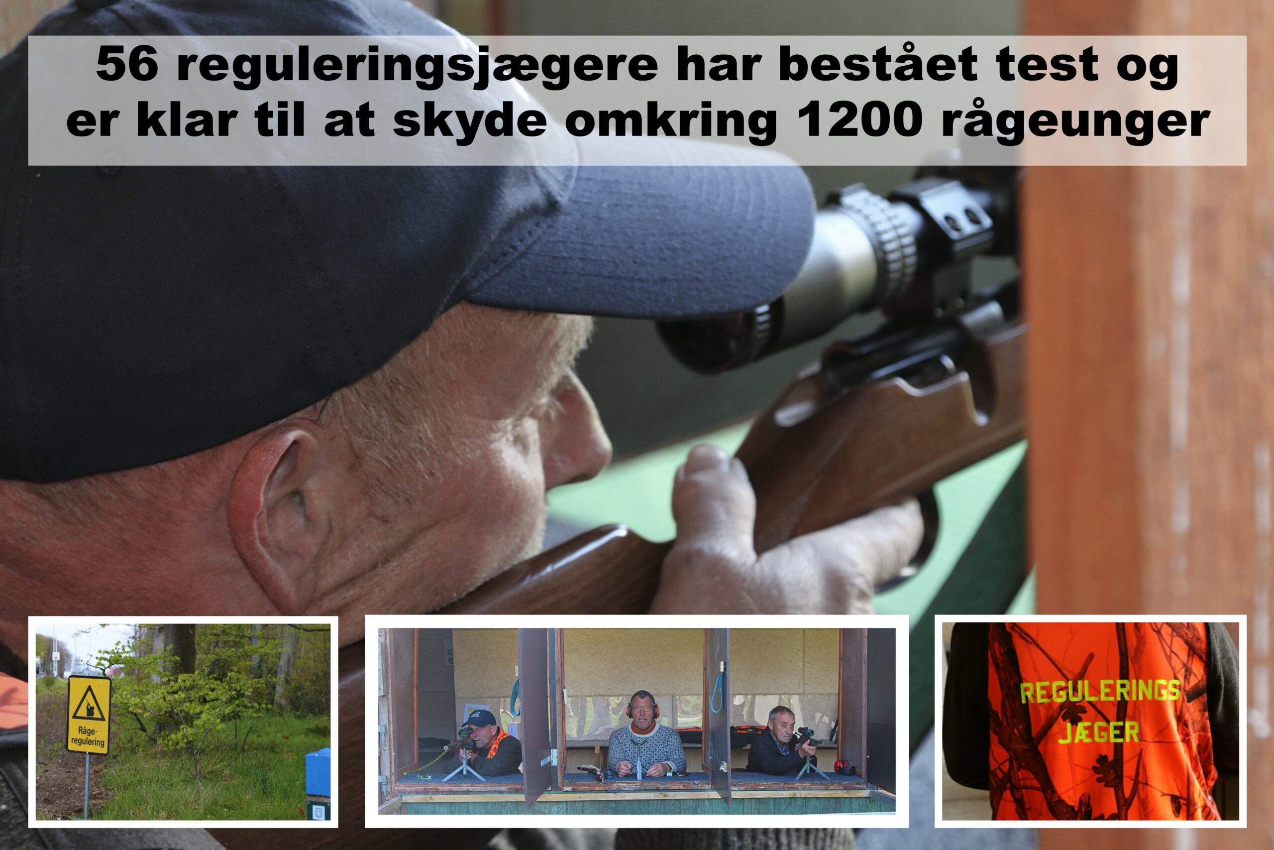 forside-regulering-af-r-ger-ryk-ind